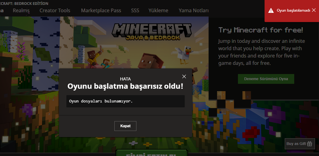 Minecraft Java vs Bedrock Bağlantı Hataları ve Çözümleri (1)