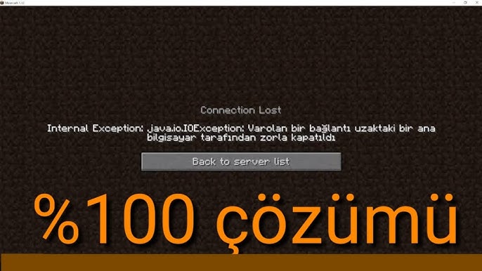 Minecraft Java vs Bedrock Bağlantı Hataları ve Çözümleri (3)